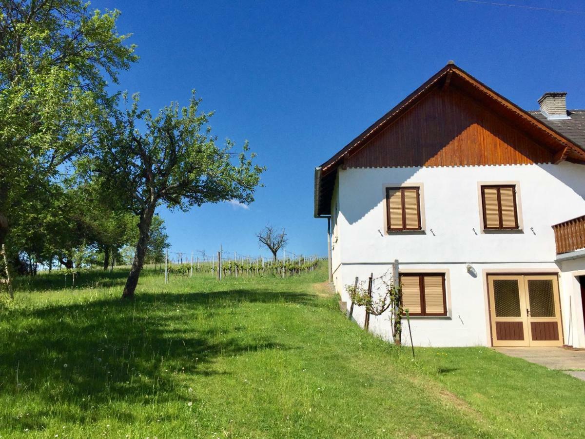 Urlaub Im Weingarten Winten  Exteriör bild