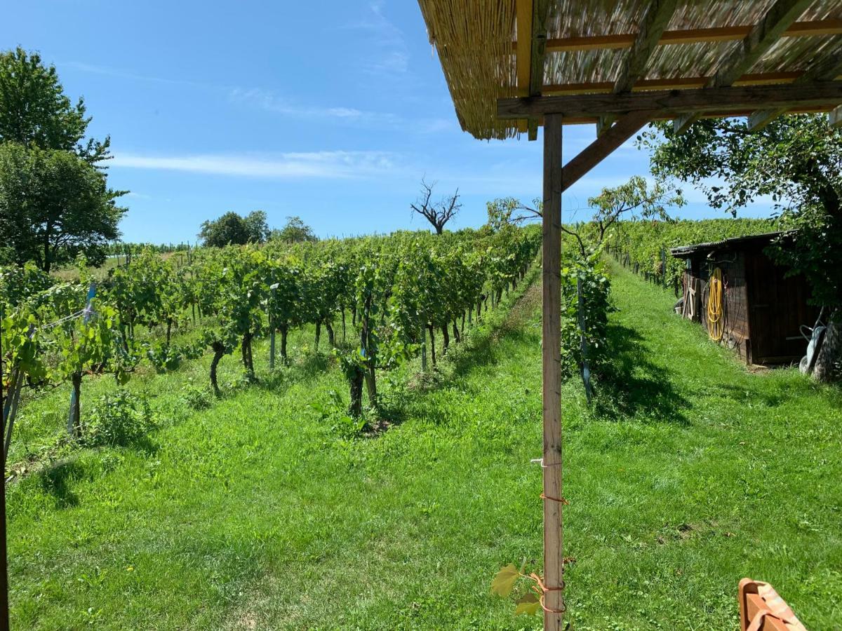 Urlaub Im Weingarten Winten  Exteriör bild