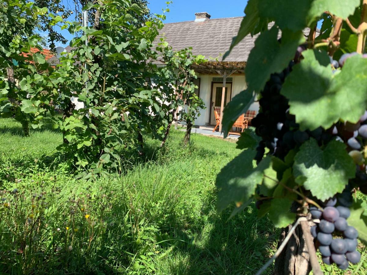 Urlaub Im Weingarten Winten  Exteriör bild