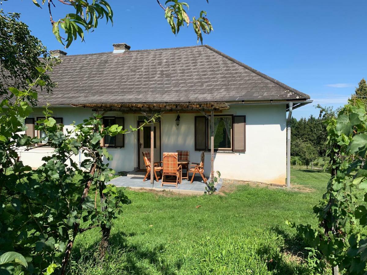 Urlaub Im Weingarten Winten  Exteriör bild